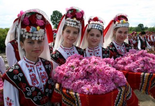 Празник на розата Празник на розата