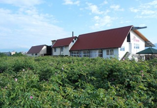 Розоварна Лема - снимка от сайта Розоварна Лема - снимка от сайта