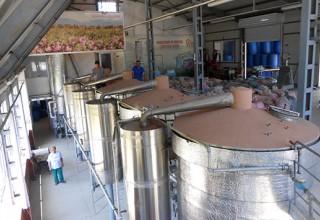 Rose Distillery "Lema"