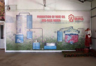 Розоварна Лема - снимка от сайта Розоварна Лема - снимка от сайта