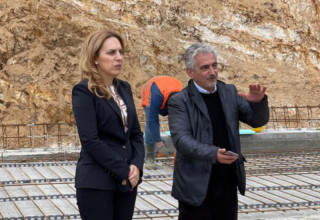 снимка на статия